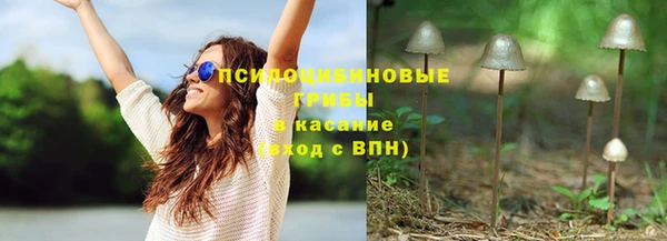 2c-b Верхний Тагил