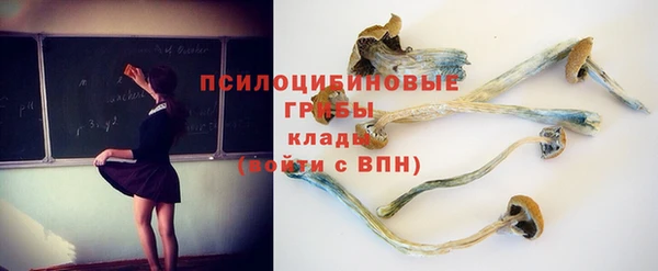 2c-b Верхний Тагил