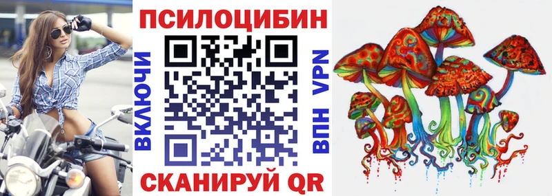 Псилоцибиновые грибы мицелий  Купить  Мончегорск 